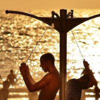 Shore Excursions