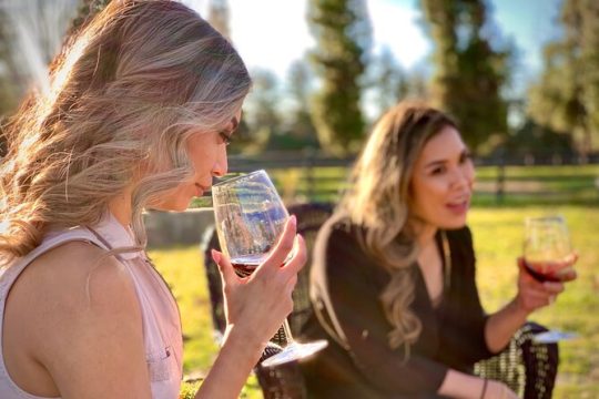 Small-Group Wine Tasting Tour of Santa Barbara Wine Country