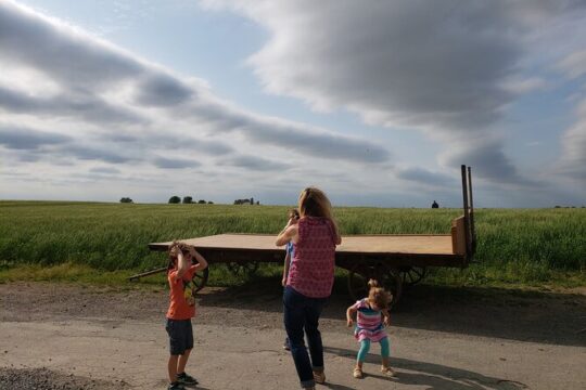 Authentic Tour & Meal with the Amish!