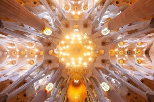 Fast Track Sagrada Familia Guided Tour