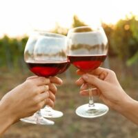 Beer & Brewery Tours