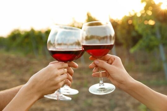 Canandaigua Wine Trail Experience