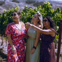 Full-day Tours