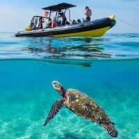 Shore Excursions