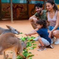 Zoo Tickets & Passes