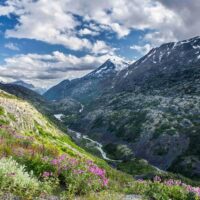 Eco Tours