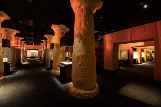 Houston Museum of Natural Science General Admission