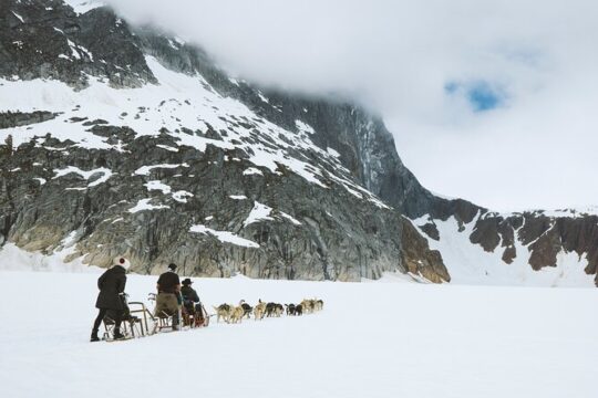 Juneau Shore Excursions: Juneau Helicopter Tour & Dogsledding Experience