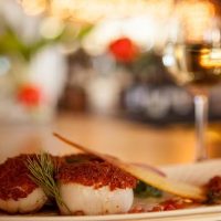 Food, Wine & Nightlife