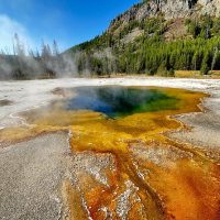Full-day Tours