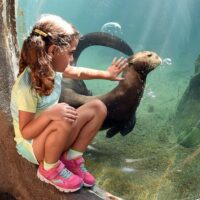Zoo Tickets & Passes