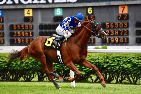 Bourbon and Derby: Makers Mark OR Other distillery + Churchill Down