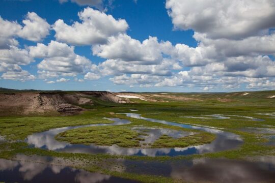 Best of Yellowstone - Guided National Park Safari Tour