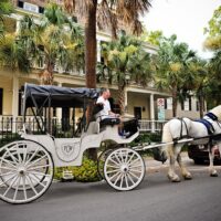Private Sightseeing Tours