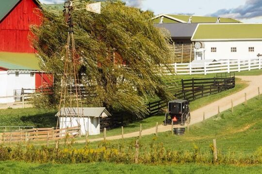 Amish Experience Visit-In-Person Tour