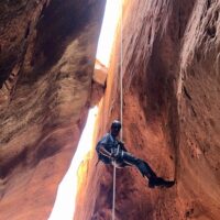 Private Sightseeing Tours