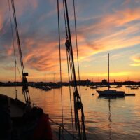 Cruises, Sailing & Water Tours
