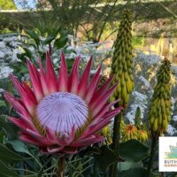 Sustainable Tours