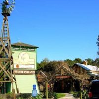 Cultural & Theme Tours
