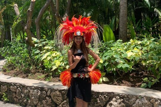 Dole Pineapple Plantation, Haleiwa Historical Town and Honolulu City Tour