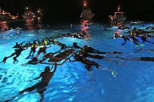 Manta Magic - Night Manta Ray Snorkel At Manta Village, Kona, Hawaii