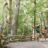 Museum Tickets & Passes