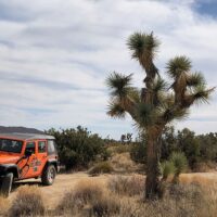 Day Trips & Excursions