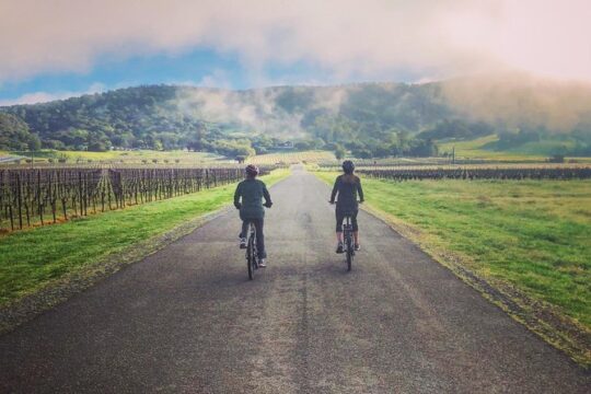 Sonoma Valley Pedal Assist Bike Tour with Lunch