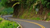 Road to Hana with Malia 