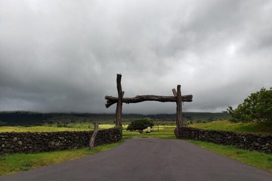 Small Group Road to Hana Adventure Tour with Pickup