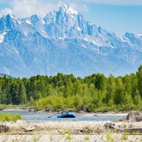 Cruises, Sailing & Water Tours