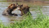 Learn more about Alaska 