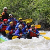 Cruises, Sailing & Water Tours