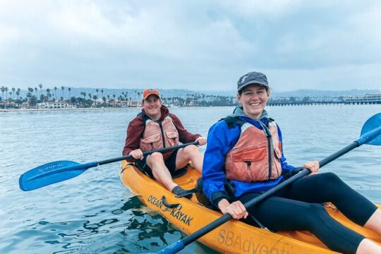 Guided Kayak Wildlife Tour in the Santa Barbara Harbor