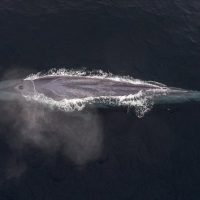 Cruises, Sailing & Water Tours