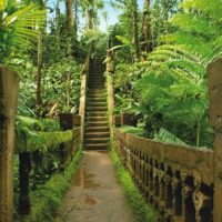 Historical & Heritage Tours