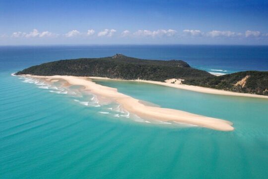 Epic Kayak With Dolphins & Wildlife - 4WD Beach Adventure Noosa