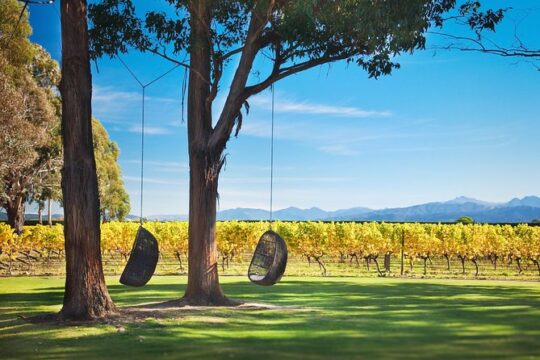 Marlborough Icons Tour - Wine tasting + Cruise