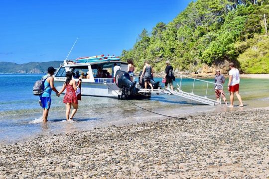 Cruise & Island Tour - Cruise/Hike/Snorkel/Wildlife/Paddleboard