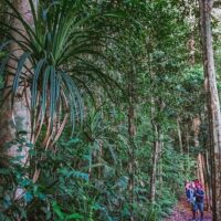 Walking & Biking Tours