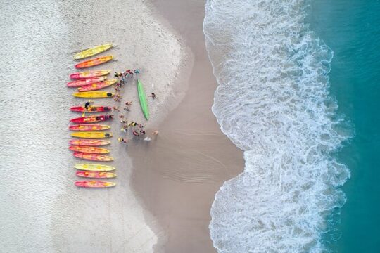 Kayaking with Dolphins in Byron Bay Guided Tour