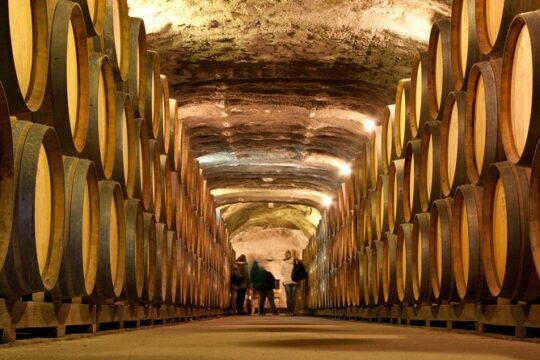 Queenstown Classic Wine Tour - 3 Vineyards, Cave Tour and Cheeseboard