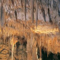 Tours & Sightseeing