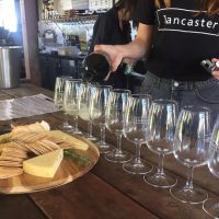 Food, Wine & Nightlife