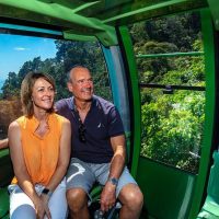 Trolley Tours