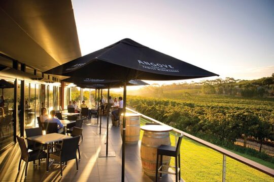 McLaren Vale North Hop-On Hop-Off Winery Tour from Adelaide