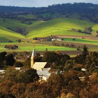 Wine Tasting & Winery Tours