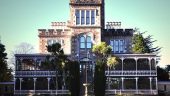Fantastic day in Dunedin