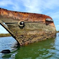 Cruises, Sailing & Water Tours