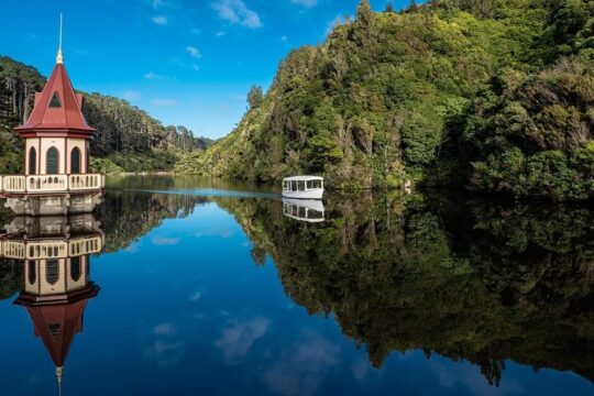 Small Group Daytime 2-Hour Eco Wildlife Tour at Zealandia